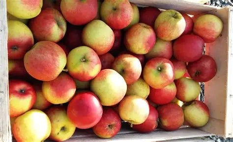 Colis de pommes Crimson 5kg