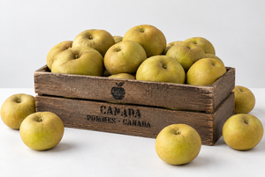 Colis de petites pommes Canada 10kg