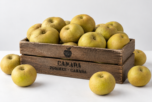 Colis de petites pommes Canada 10kg
