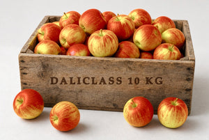 Colis de pommes Daliclass 10kg