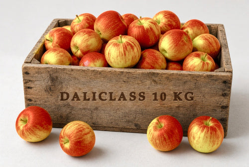 Colis de pommes Daliclass 10kg