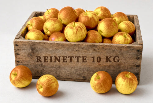 Colis de pommes Reine des Reinettes 10kg