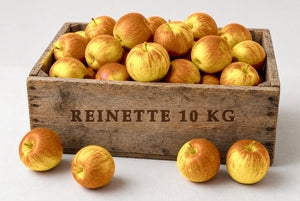 Colis de petites pommes Reine des Reinettes 10kg