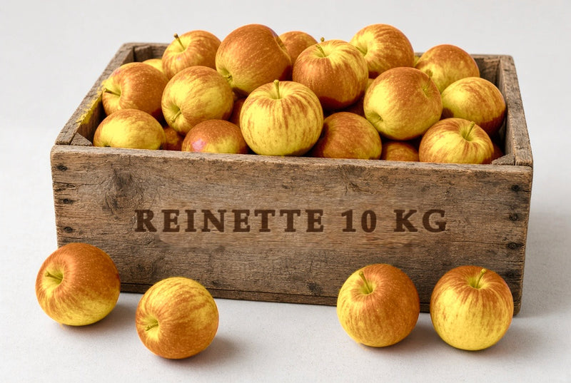 Colis de petites pommes Reine des Reinettes 10kg
