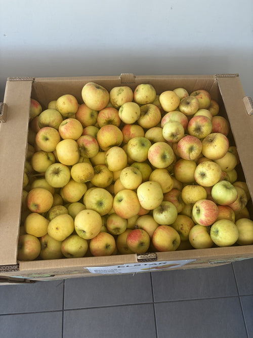 Colis de pommes Elstar 5kg