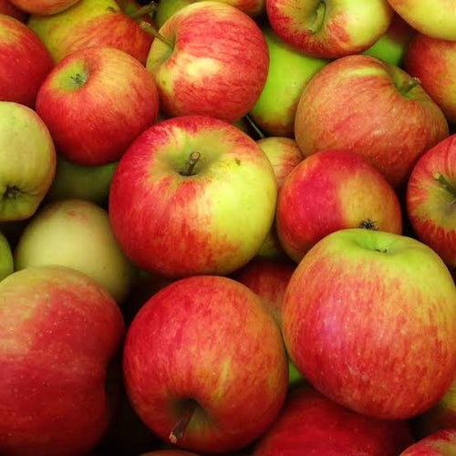 Colis de pommes Elstar 10kg