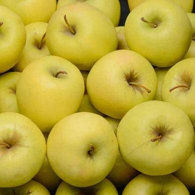Pomme Lafayette