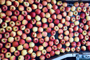 Colis de pommes Mixte Gala/Golden 7kg