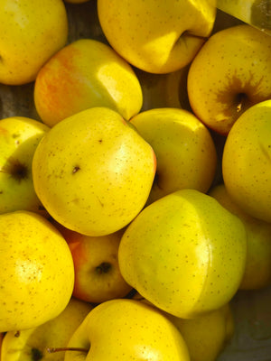 Colis de pommes Golden 7kg