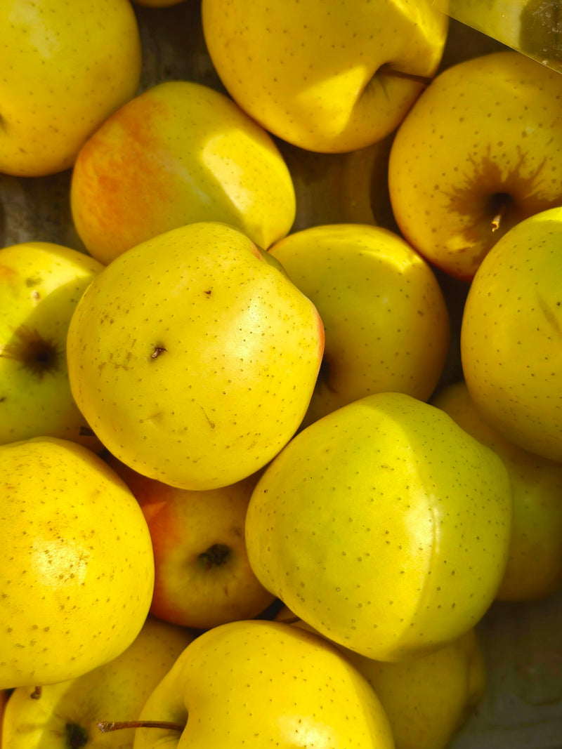 Colis de pommes Golden 10kg