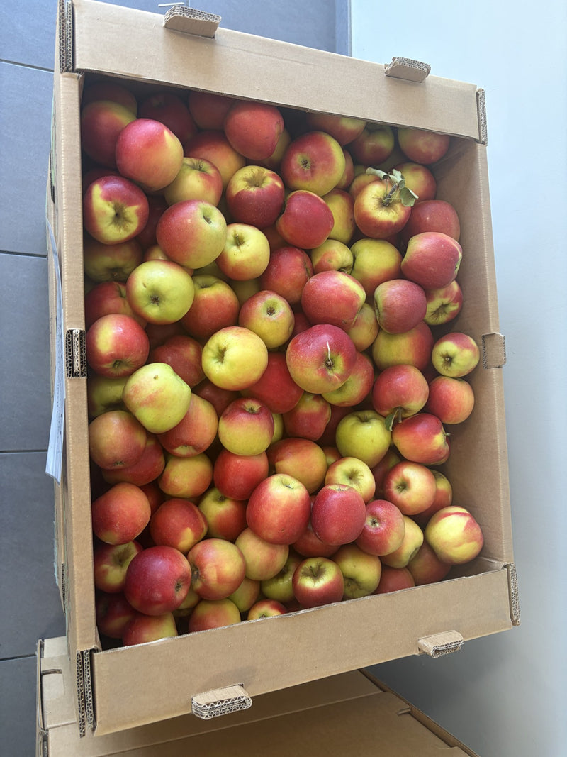 Colis de pommes Reine des Reinettes 10kg